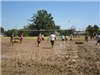 Teams Playing in the Mud