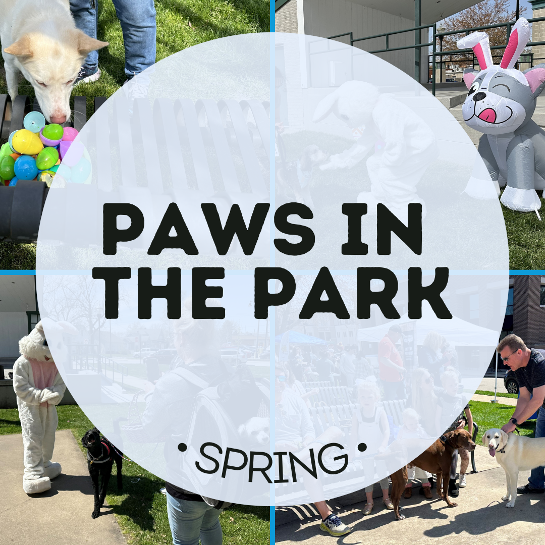 Paws in the Park graphic link button