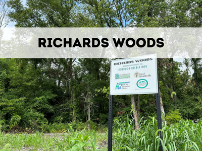 Richards Woods photo for website